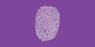 Top Browser Fingerprinting Techniques
