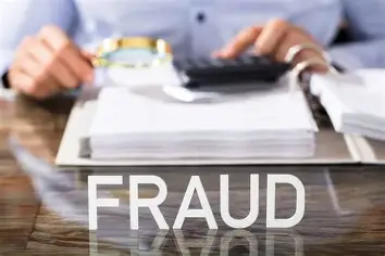 Corporate Fraud Case Study: The Profitable Deception