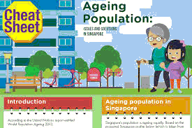 Singapore’s Aging HDB Population