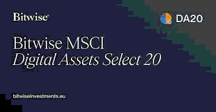 MSCI Digital Assets Exclusion Proposal