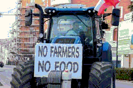 The Impact of Delayed EU Farm Subsidies on Greek Farmers: