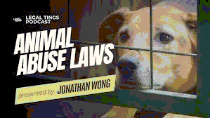 Animal Lovers League Financial Crisis