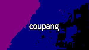 Coupang Cyberattack