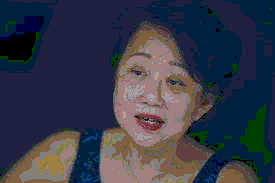 Jannie Chan Debt Case