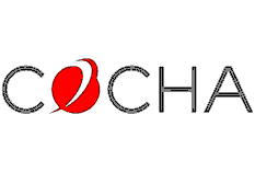 Cocha Technology’s cybersecurity and web design services