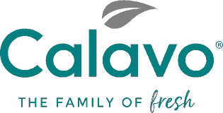 US Undiscovered Gem Stocks