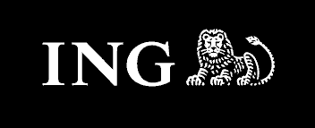 Strategic Performance and Financial Resilience of ING Group in FY 2025