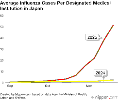 The Resurgence of Influenza in Tokyo: An Examination of the Recent Outbreak