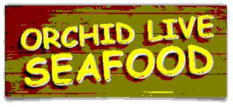 Orchid Live Seafood