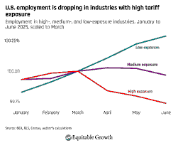 Tariff Incidence and Economic Burdens