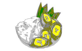 Celebfest Ramadan 2026: An Anticipatory Culinary Journey