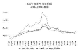 GLOBAL FOOD PRICE DYNAMICS