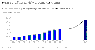 Private Credit & Systemic Risk